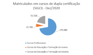 EMPREGO E FORMAÇÃO EM NÚMEROS - 2020